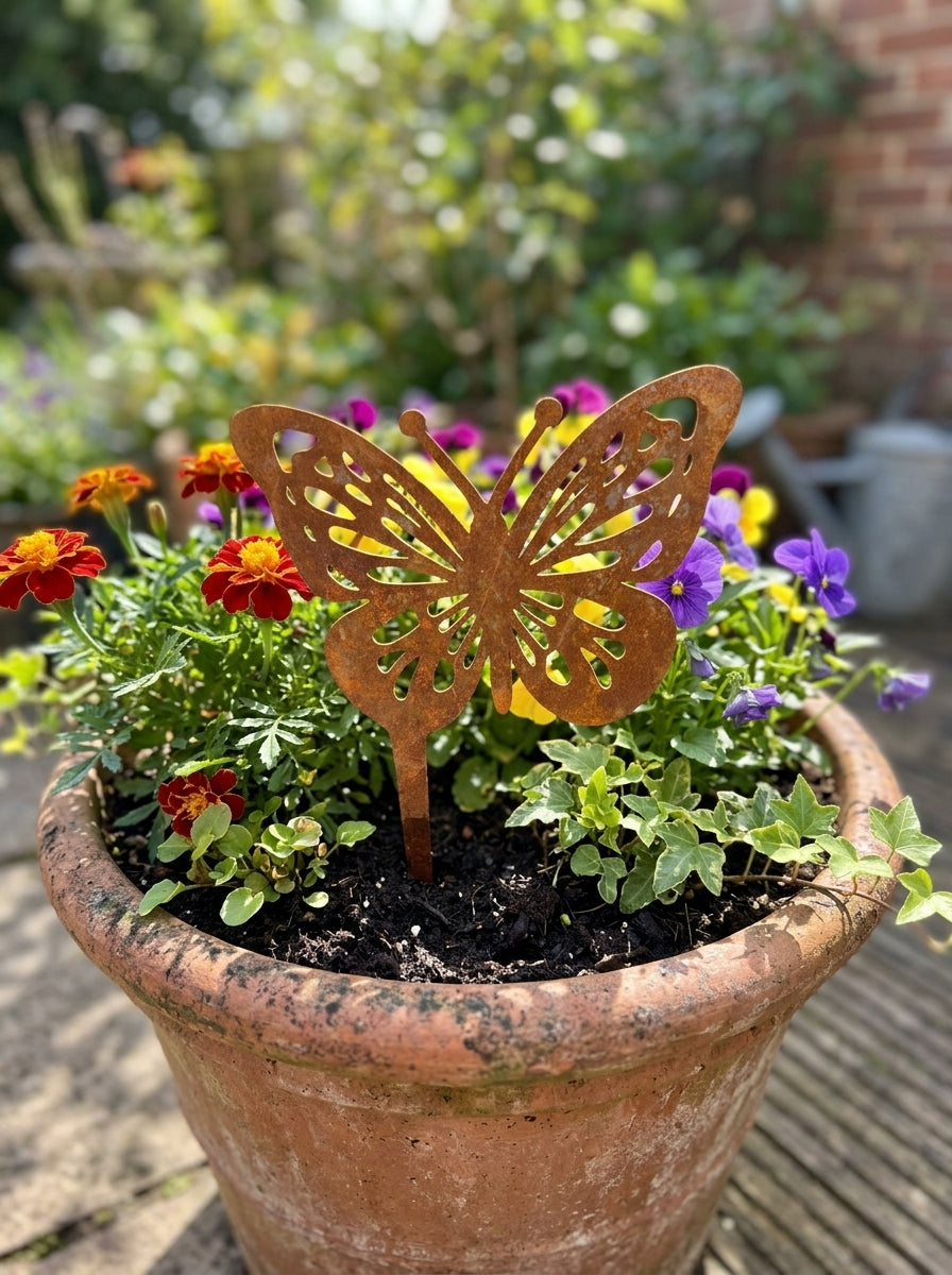 Schmetterling 2