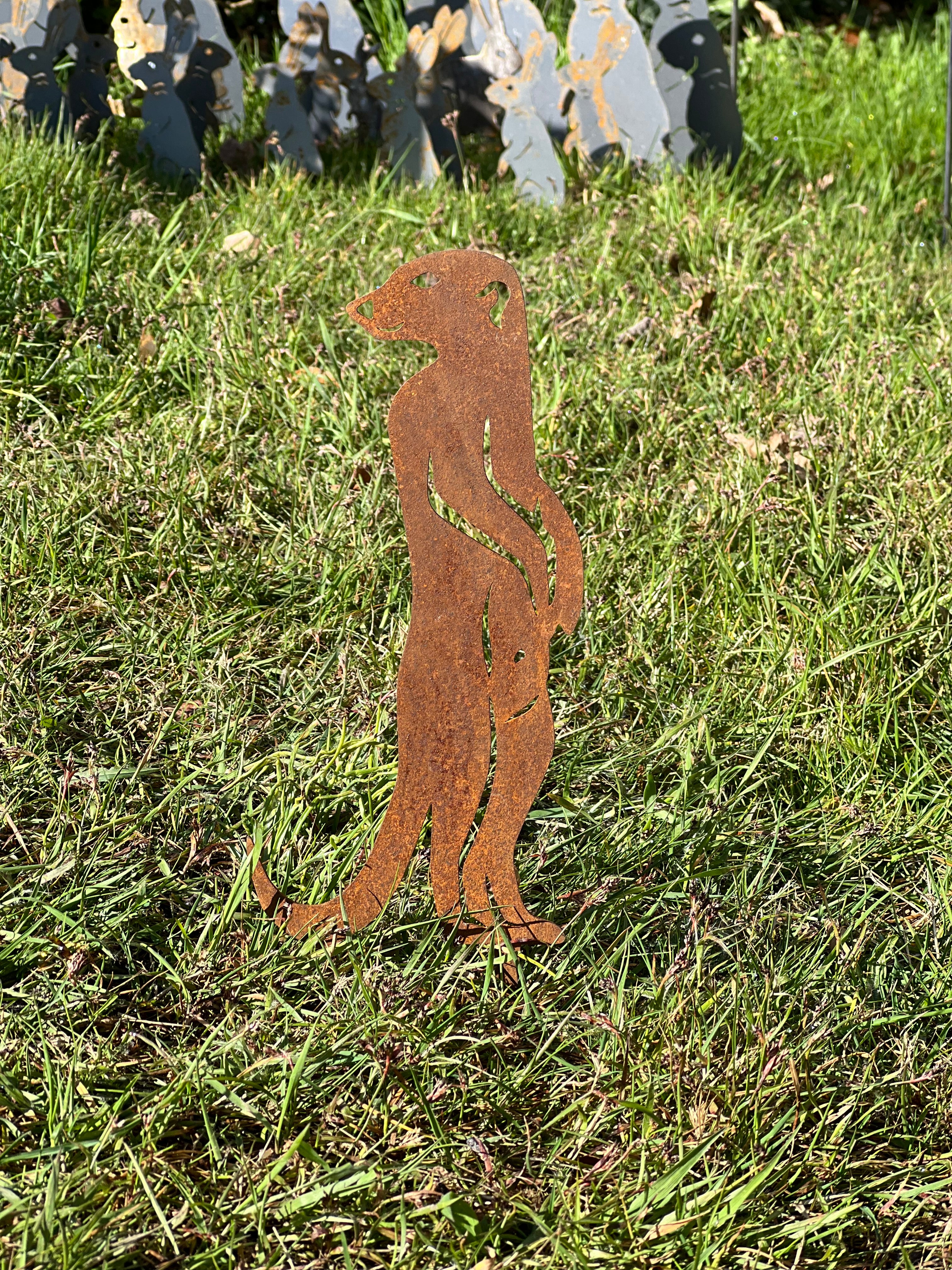 Erdmännchen 2