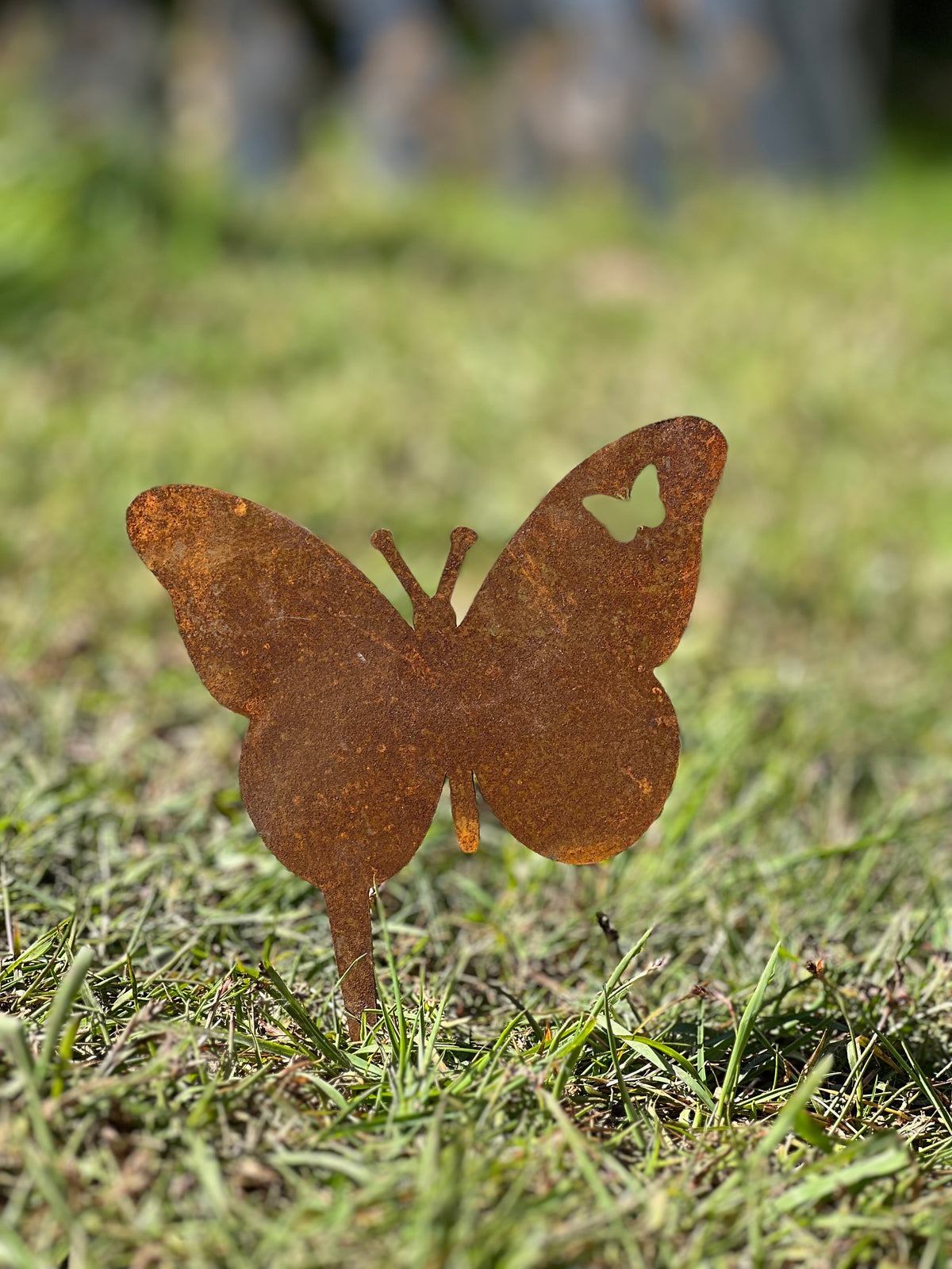 Schmetterling 1