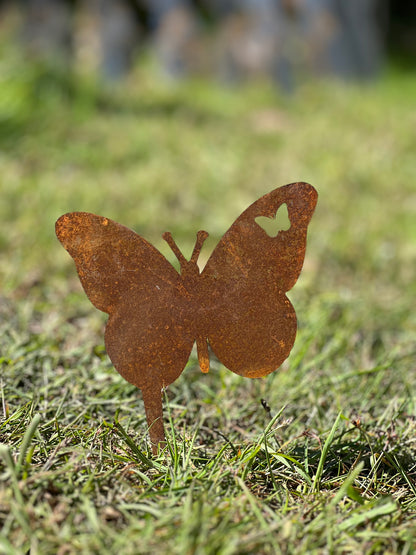 Schmetterling 1