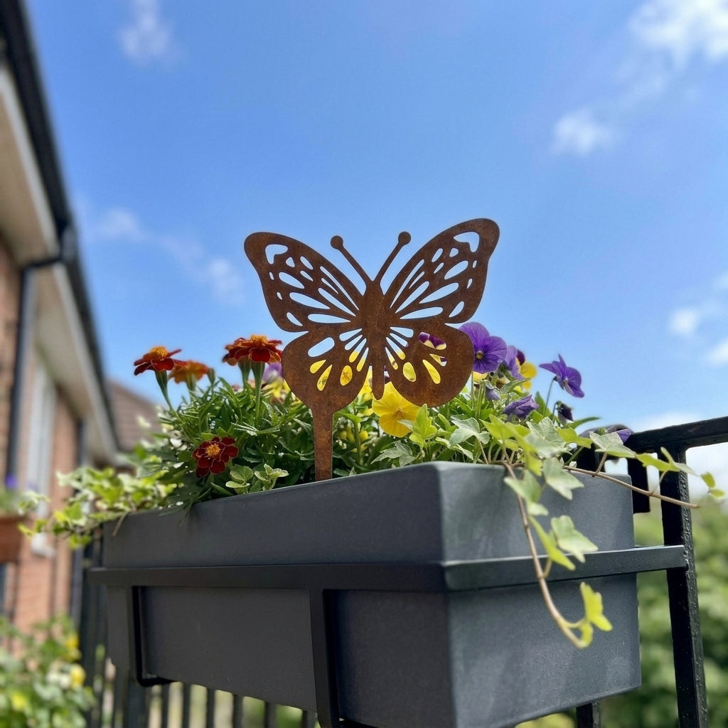 Schmetterling 2