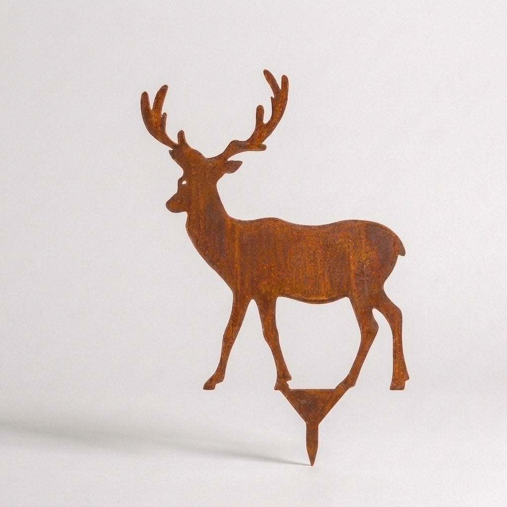 Hirsch 1