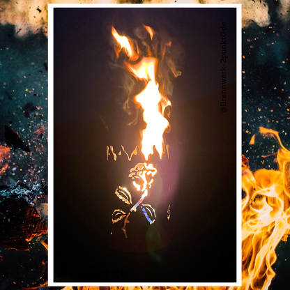 Gartenfackel – Rose 3-fach